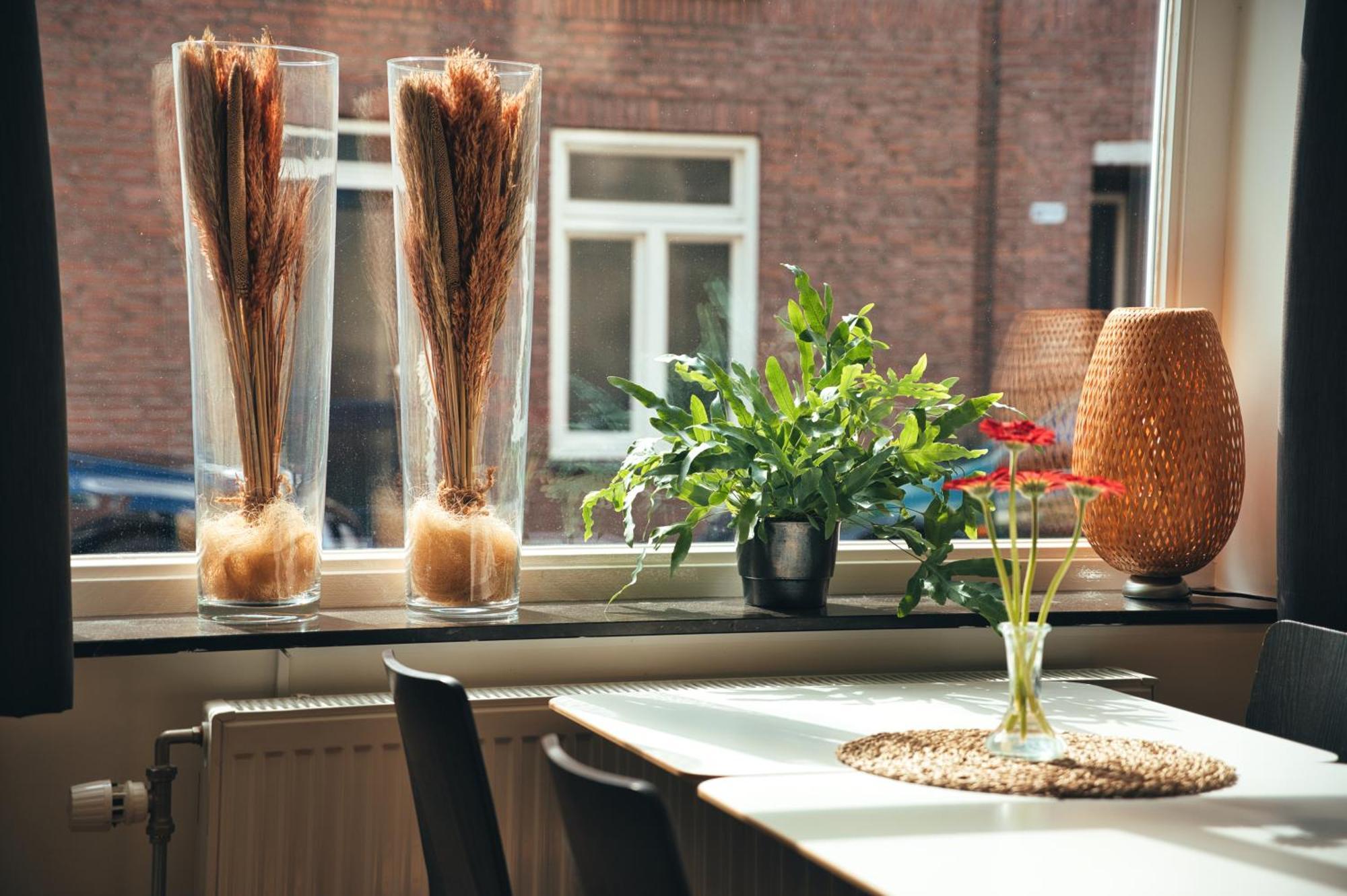 B&B De Hofnar Roermond Exterior photo